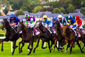 Winning the Race: Insider Tips and Strategies for Horse Racing Success