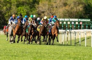 Online Horse Racing Winning Strategy: Surprising Even the Experts!