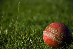 Top 10 Highest Paid Cricketers in 2024: A Detailed Look