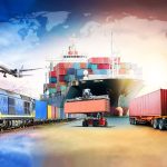 Why More People Are Choosing Professional Transport Options