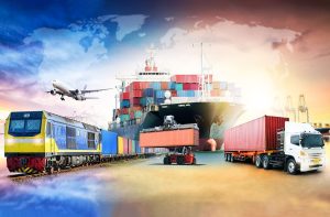Why More People Are Choosing Professional Transport Options